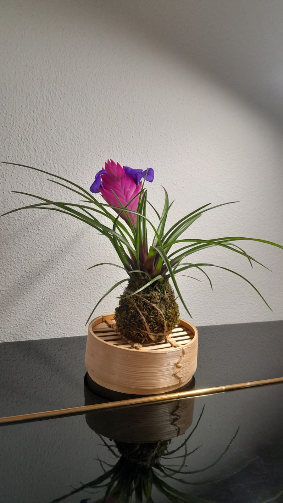 Kokedama fiorito rosa e viola, suggestione botanica per una celebrazione